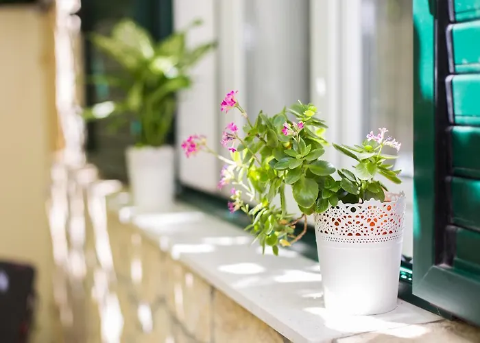 Apartmán Shiny Split